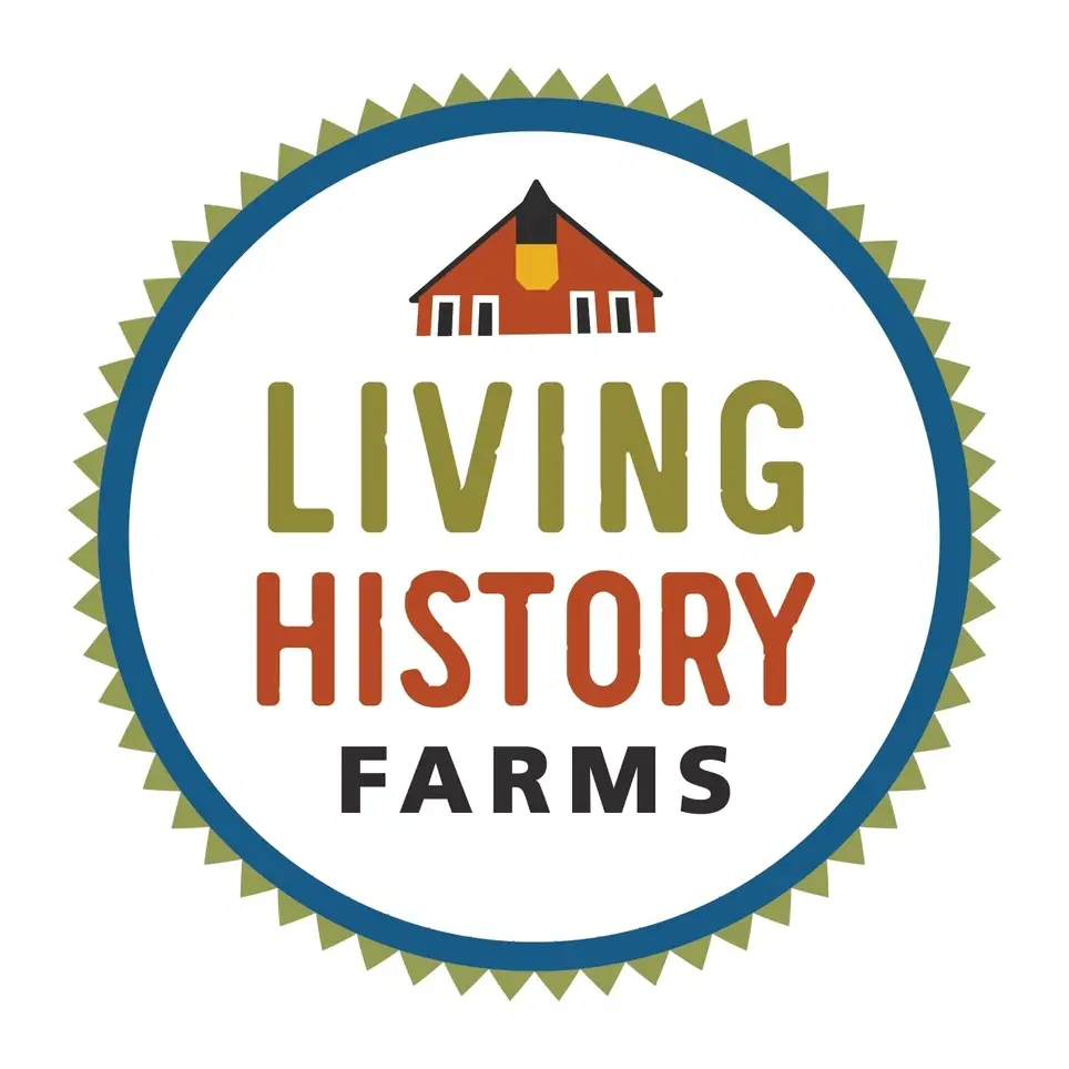 Day Camp Junior Counselor