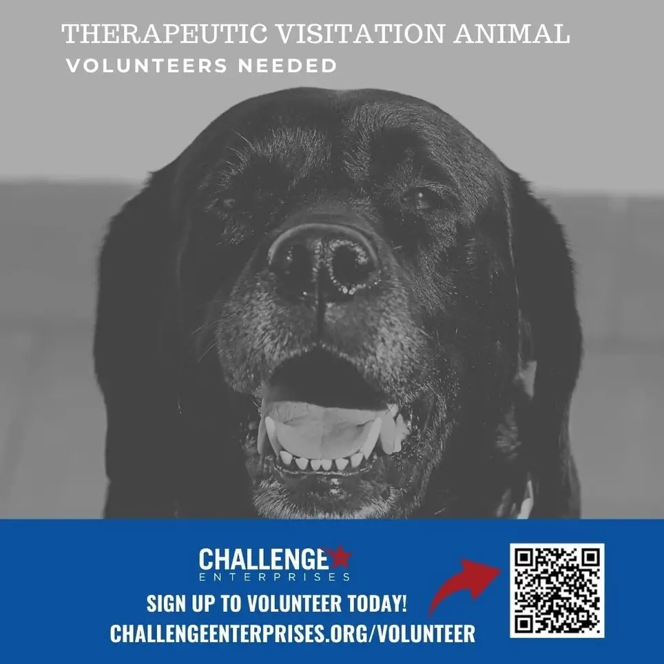 Seeking Volunteer Handlers and Their Therapeutic Animals for Visitation-Green Cove Springs