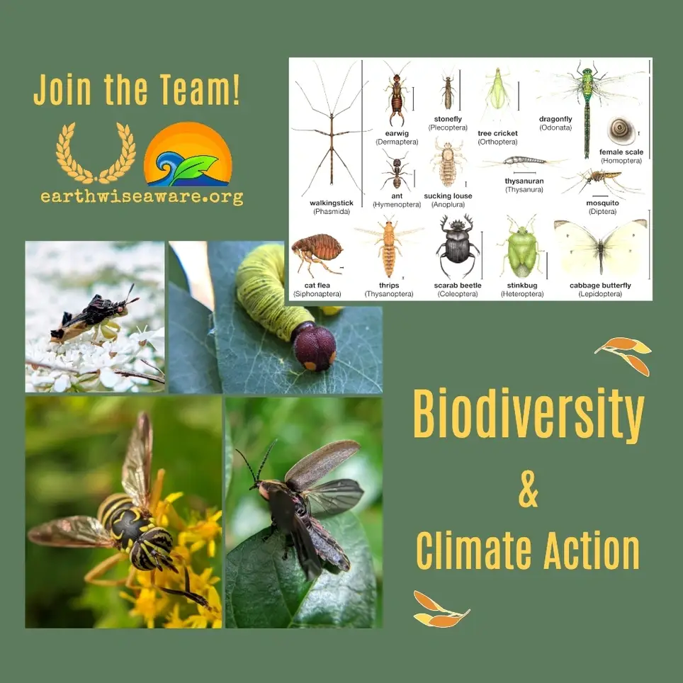 Arthropod Taxonomy Data Curator