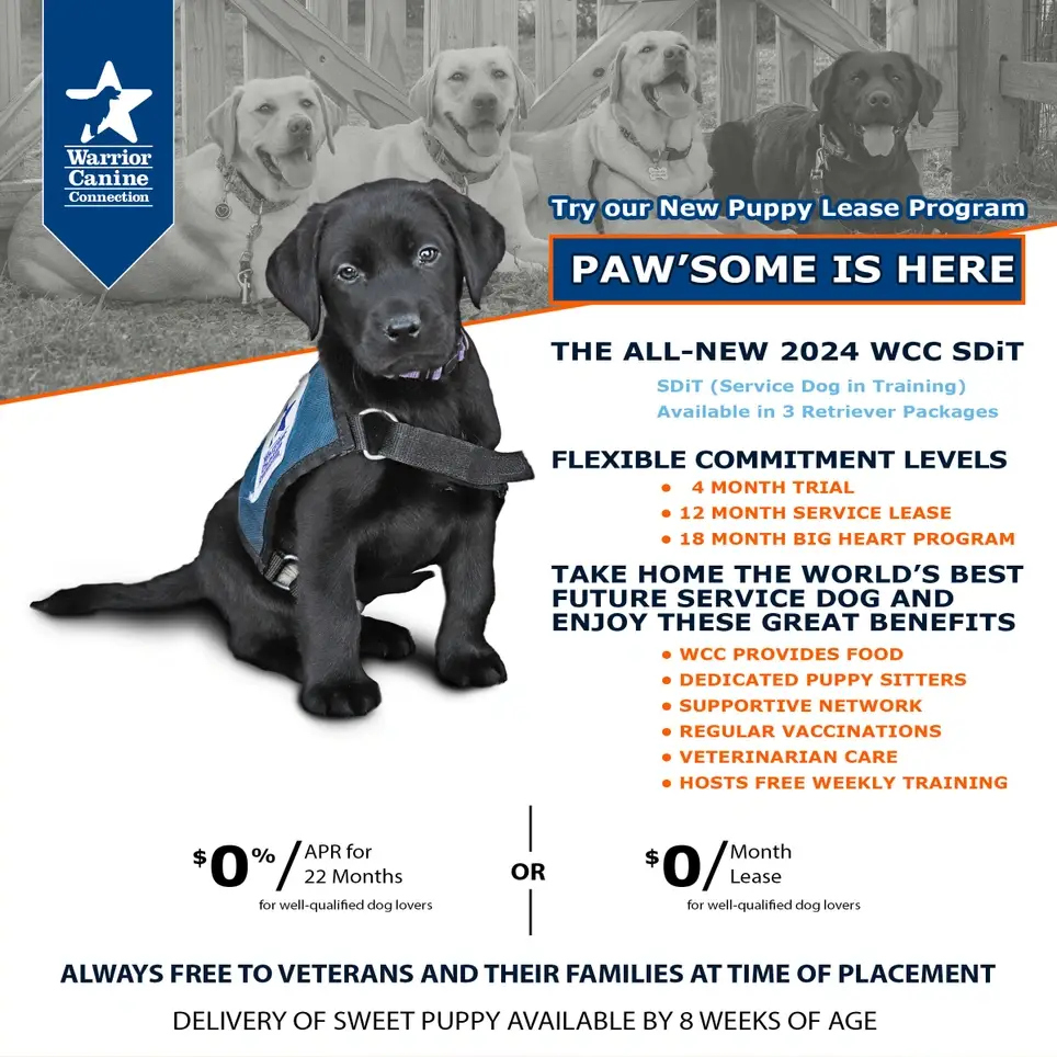 Become a Puppy Raiser! -Asheville, NC