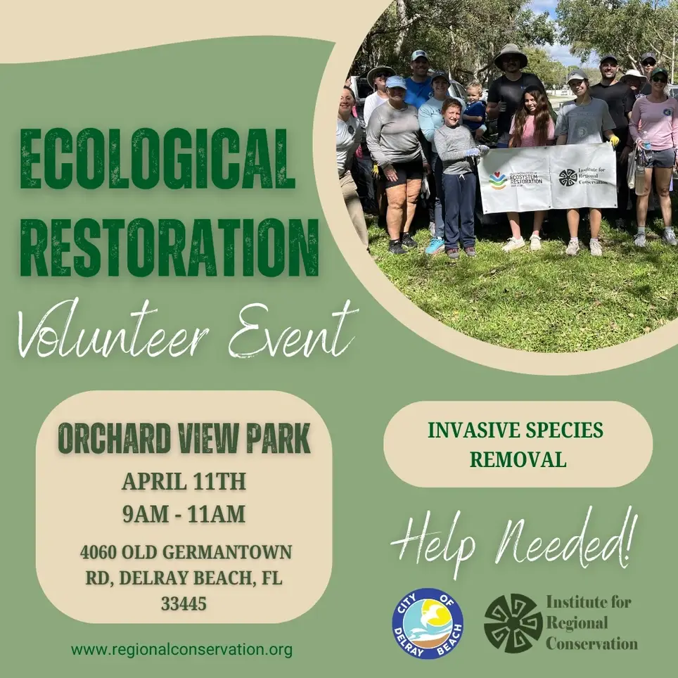 4/11 Ecological Restoration Volunteer Day at Orchard View Park, Delray Beach