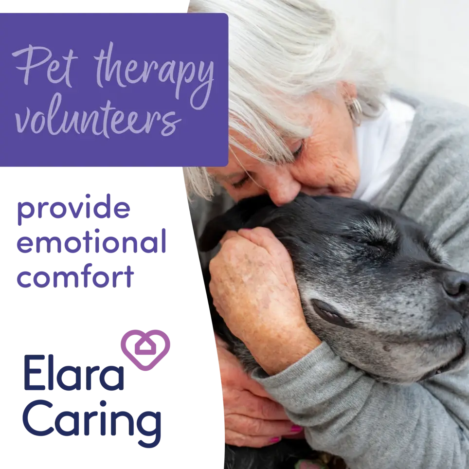PET ENRICHMENT NEEDED FOR HOSPICE - Buda