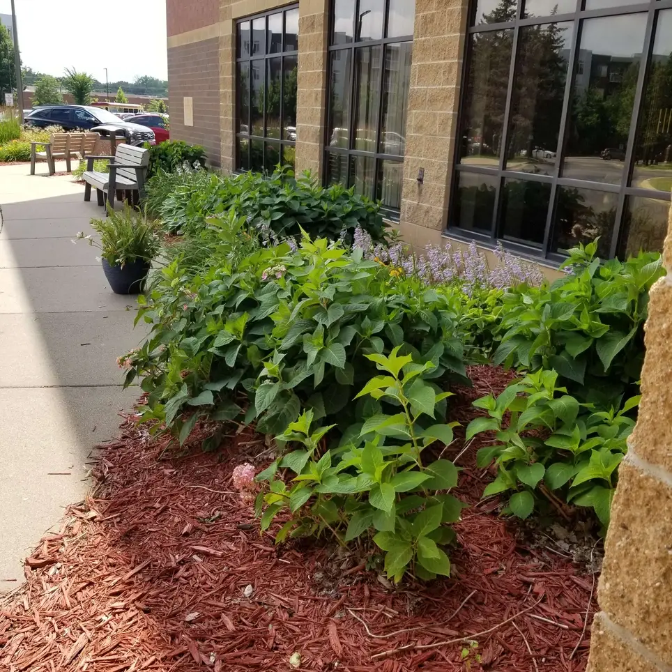 Grounds Upkeep and Gardening