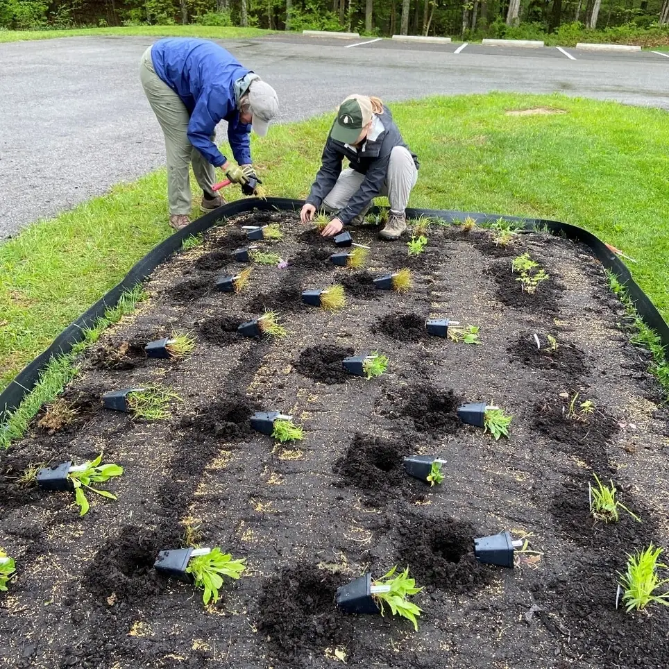 Pollinator Habitat Specialist