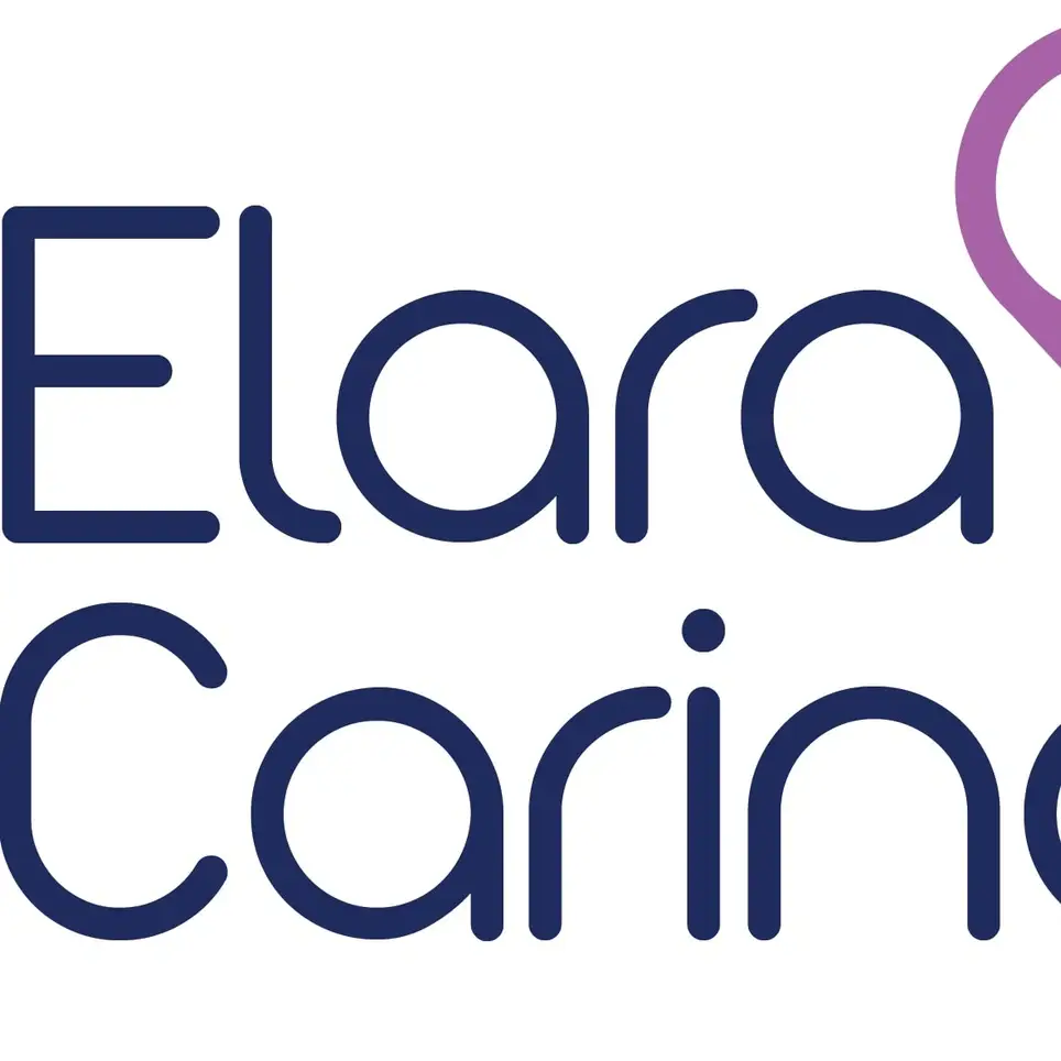 Allegan Co-  Companion Volunteer Needed - Are you a College Student needing volunteer hours?