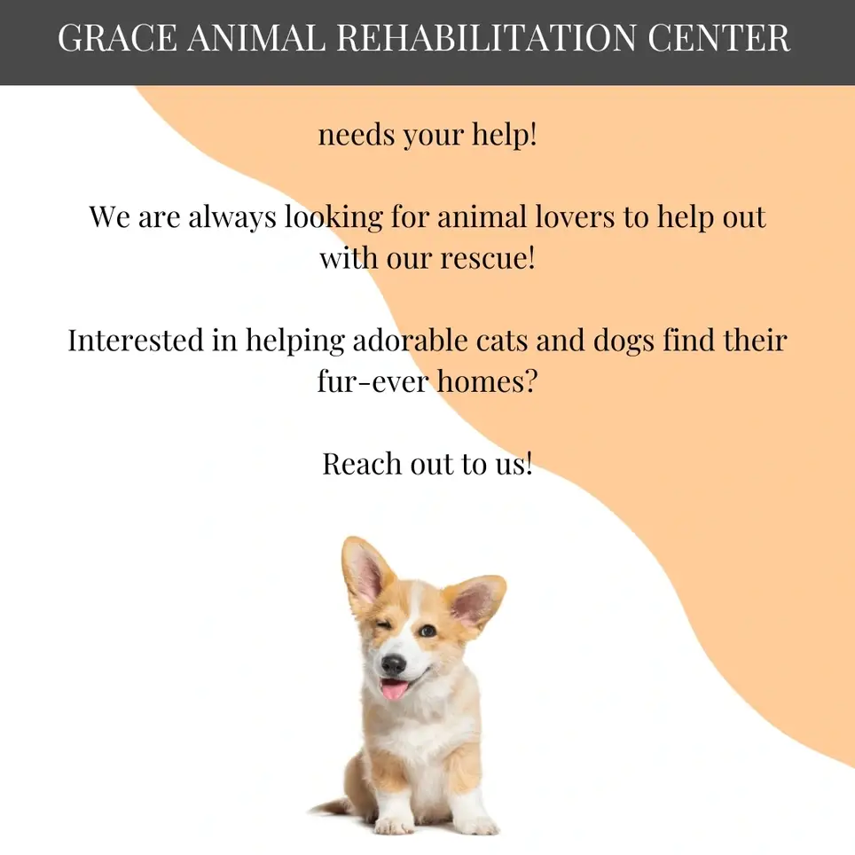 Seeking SEO content writer