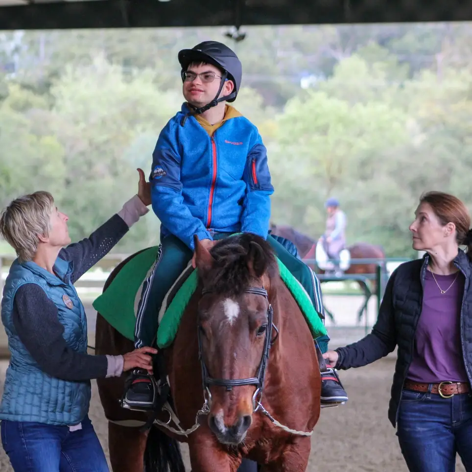 Help 'Side-Walk' Beside Our Therapy Horses During OT, PT, & Adaptive Riding Sessions!