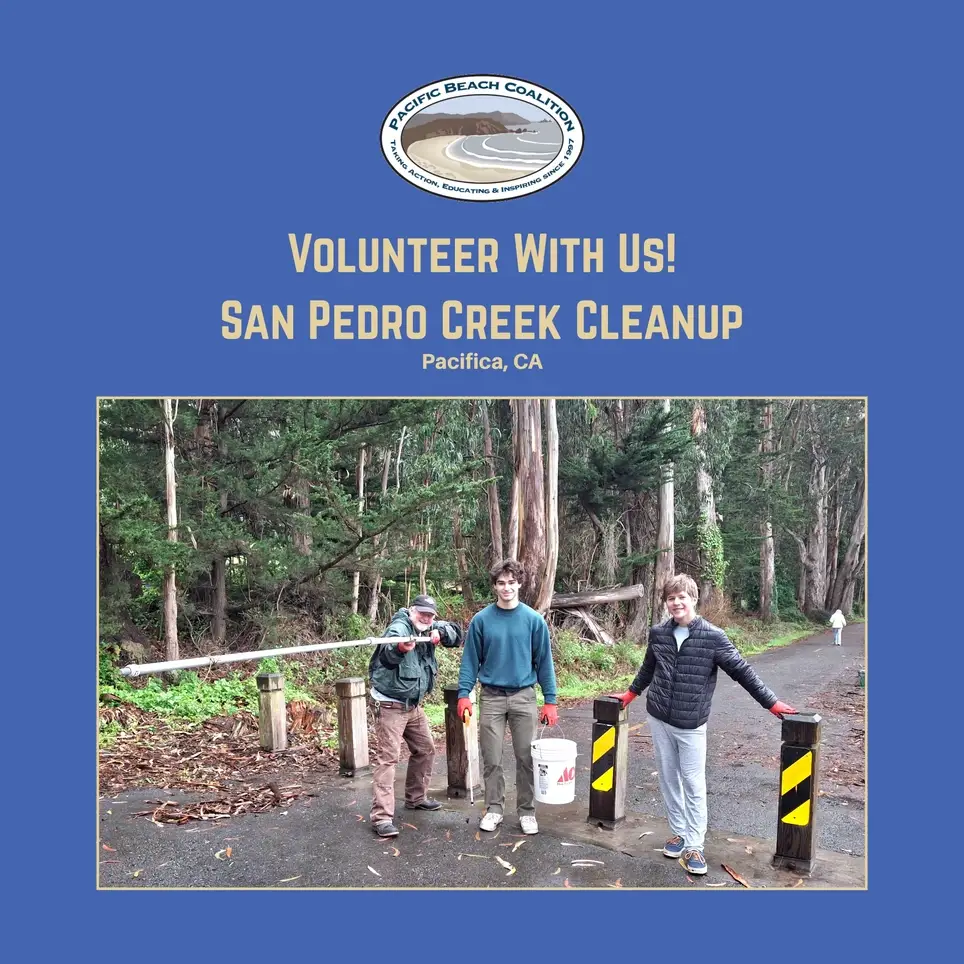 Protect The Steelhead Trout Habitat:  Join Our San Pedro Creek Cleanup