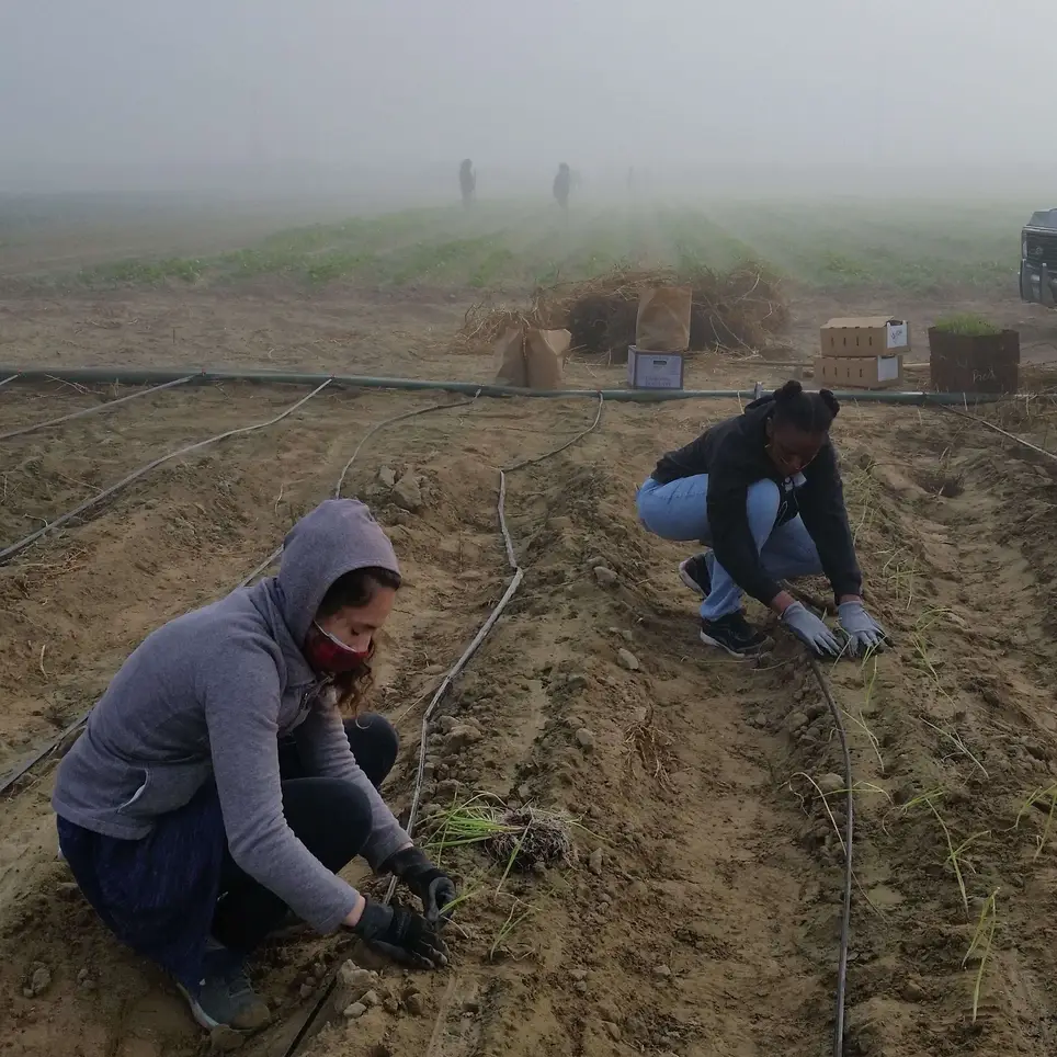 Fresno Farm Field Project - Saturdays