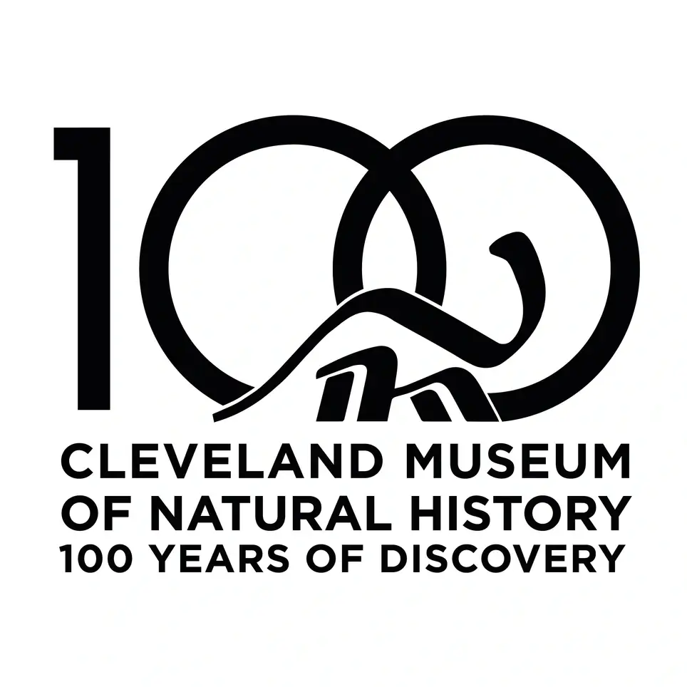 Activity Leader Volunteer