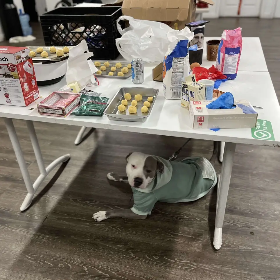 Facilitate Holiday Events with the Homeless!