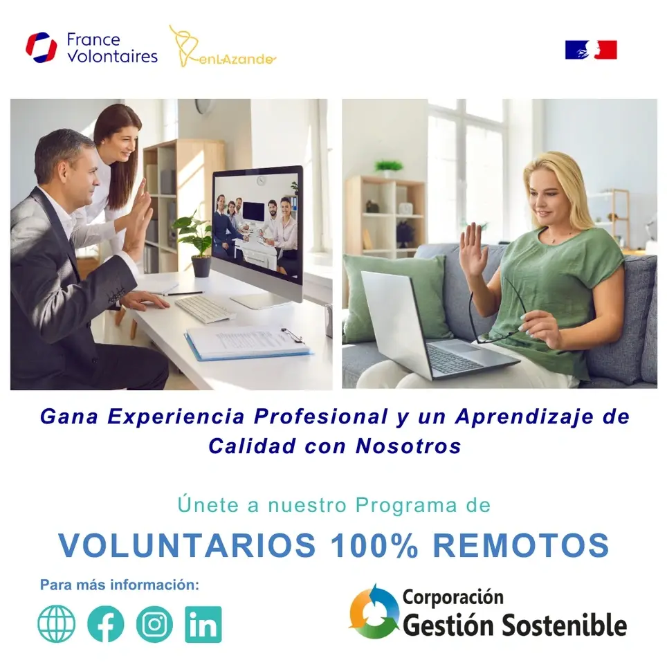 Programa de Voluntariado Profesional en  Remoto - Impulsores del Cambio