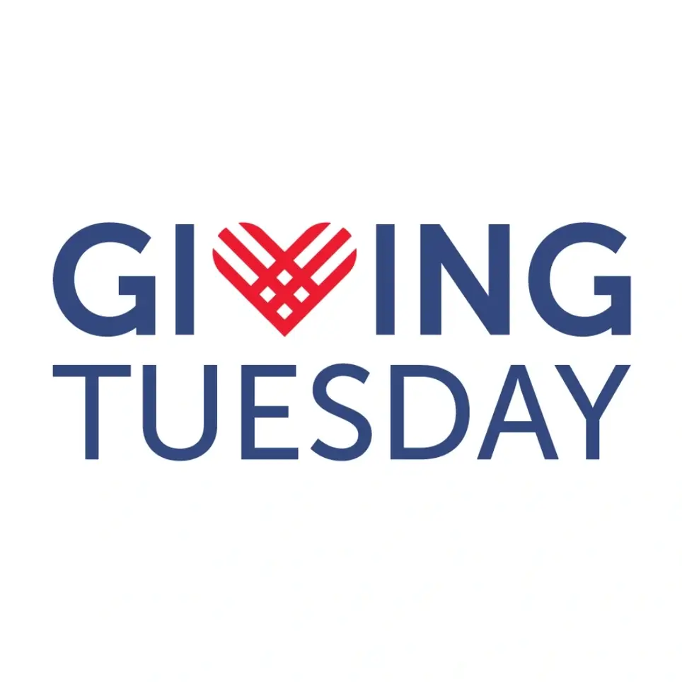 GivingTuesday Campaign Coordinator Volunteer (Virtual)