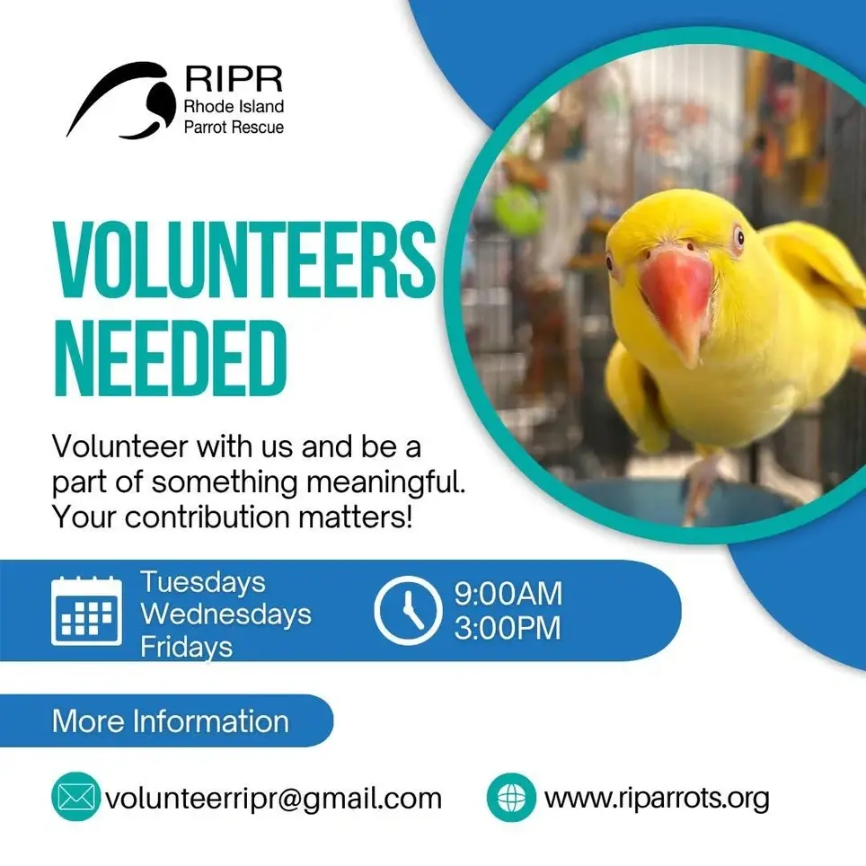 Have you ever wondered what it's like to work with exotic birds?