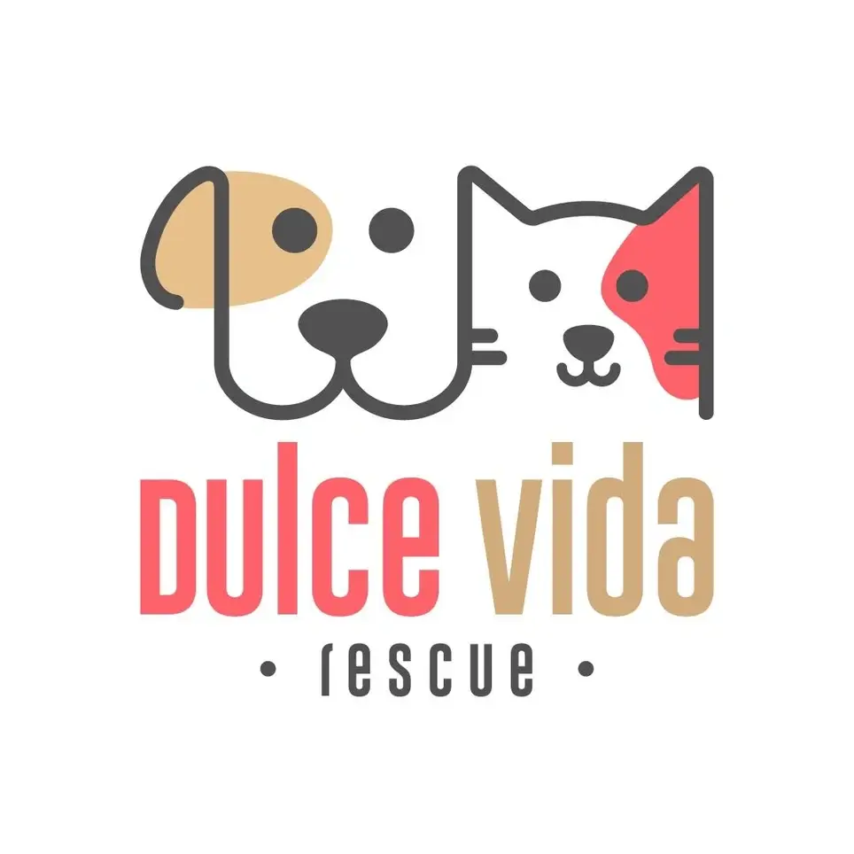 Transport Volunteer (U.S. based)