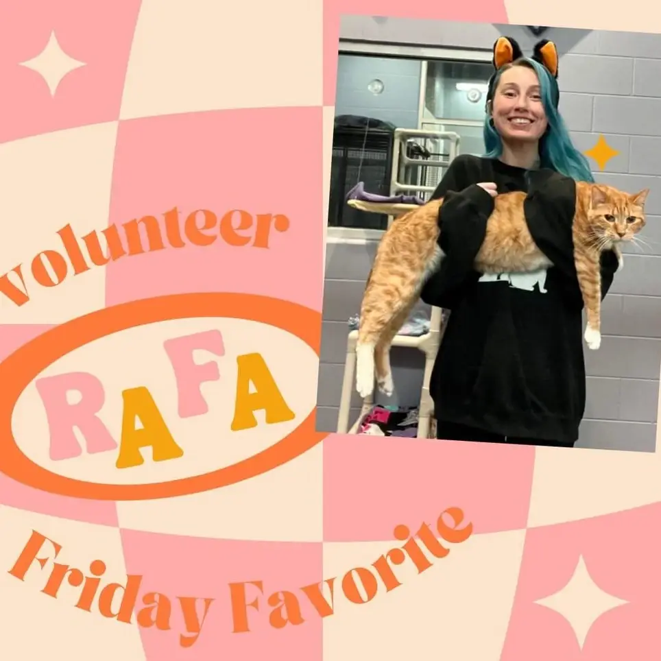 Cat and Dog Caregivers Needed! Morning and Evening Shifts - Flexible Options 7 Days a Week!