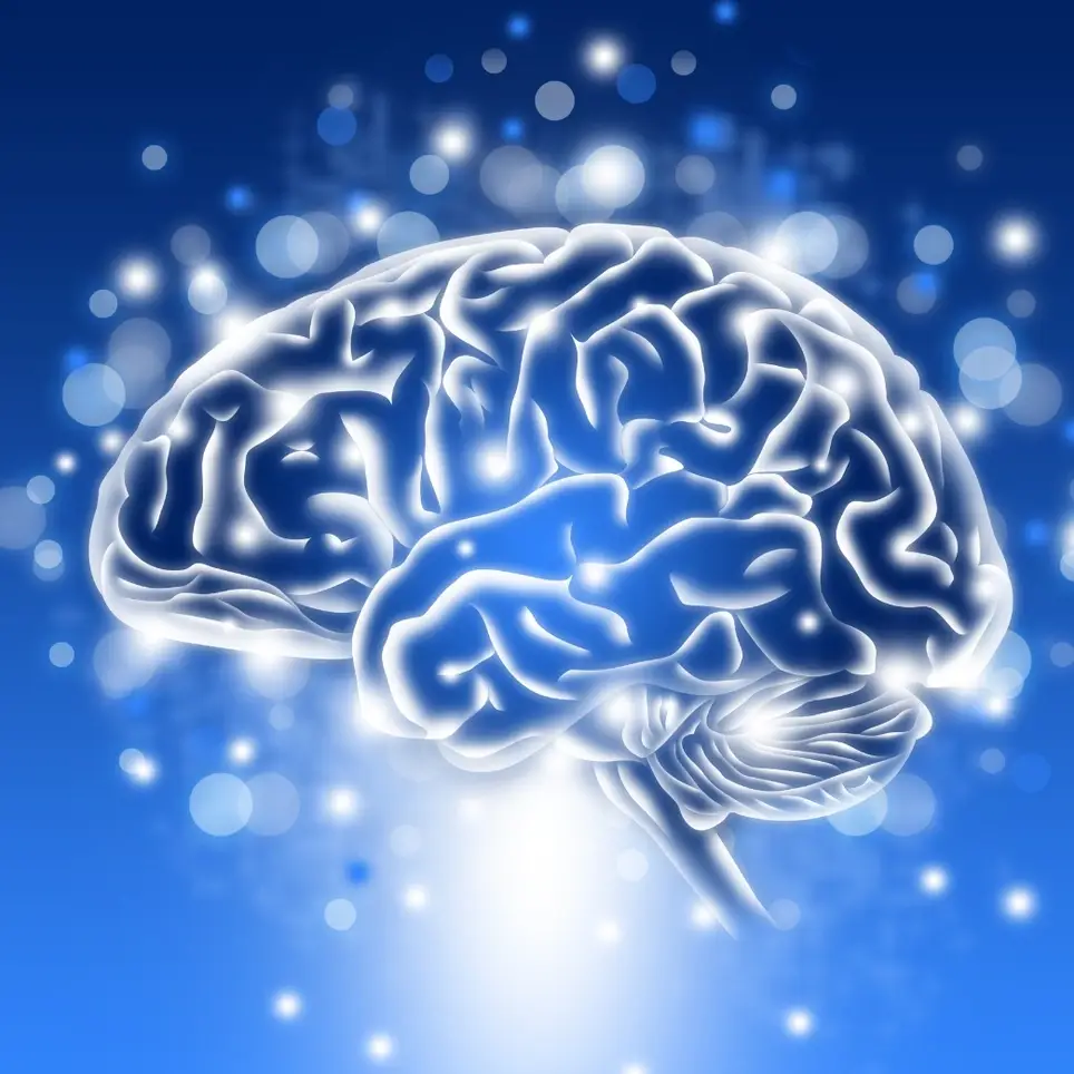 Help researchers understand Alzheimer's disease and dementia!