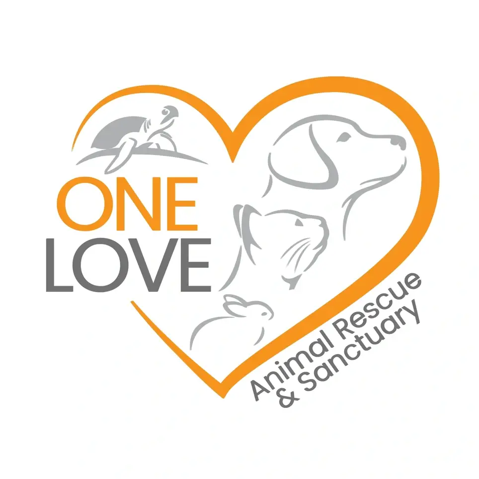 Experienced Parrot Caretaking Volunteer