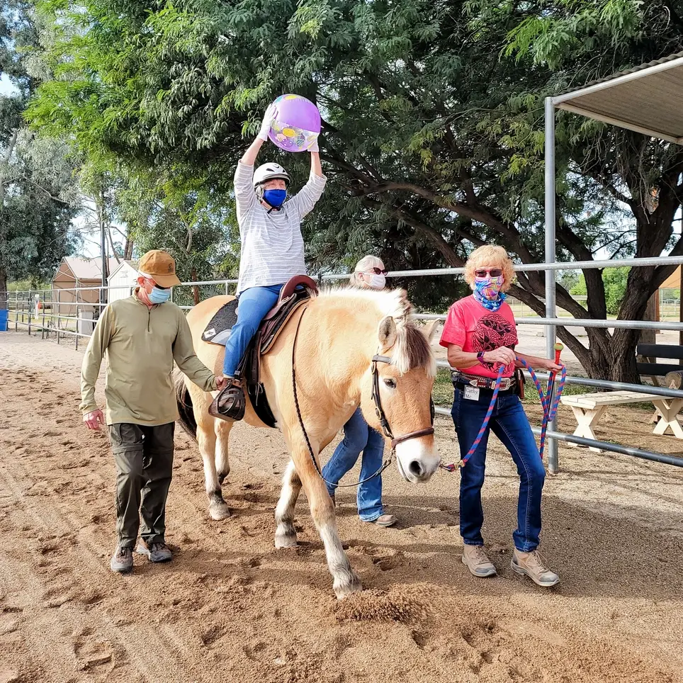 Horse Handler