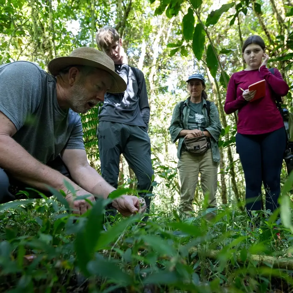 Research or volunteer in the Cloud Forest of Costa Rica