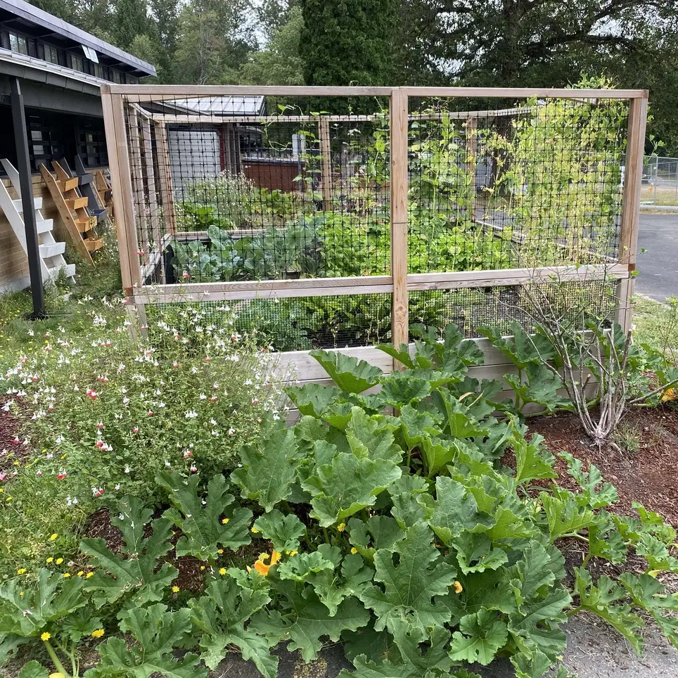 Share Cooking or Gardening Skills