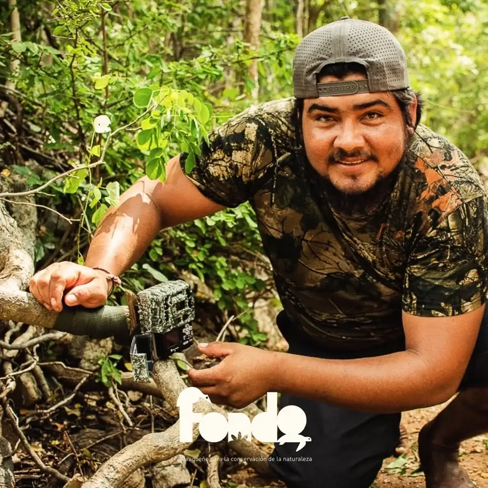 Voluntariado en comunicación digital para la conservación de la costa de Oaxaca