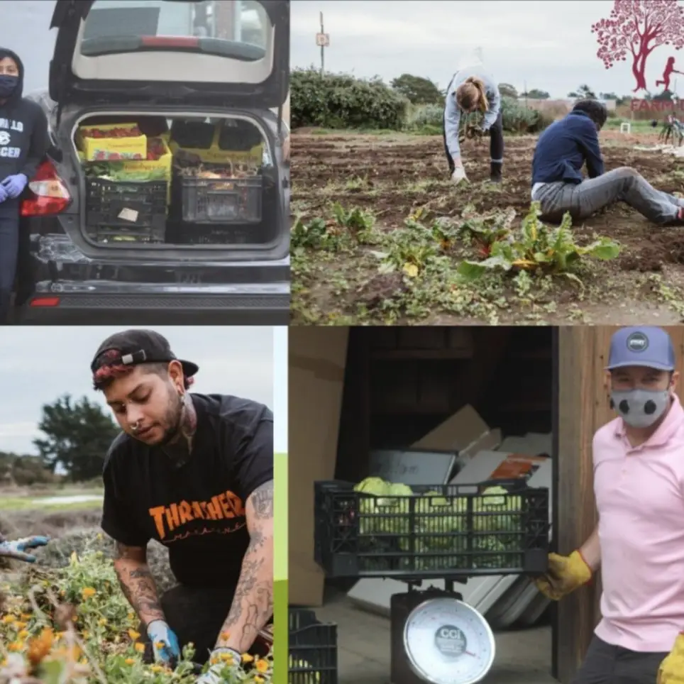 Deliver Fresh Produce substitute Pickup/Drop-off around SC county