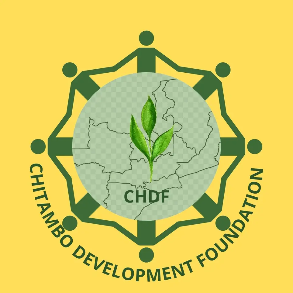 CHITAMBO DEVELOPMENT FOUNDATION – CALL FOR VOLUNTEER EXPERTS (GRANT & PROPOSAL DEVELOPMENT)