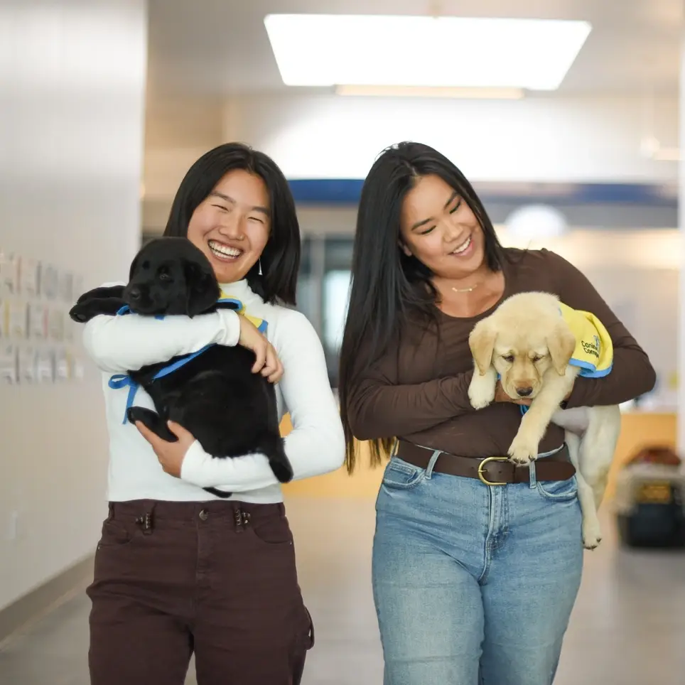 Help Transport Future Service Dog Puppies!