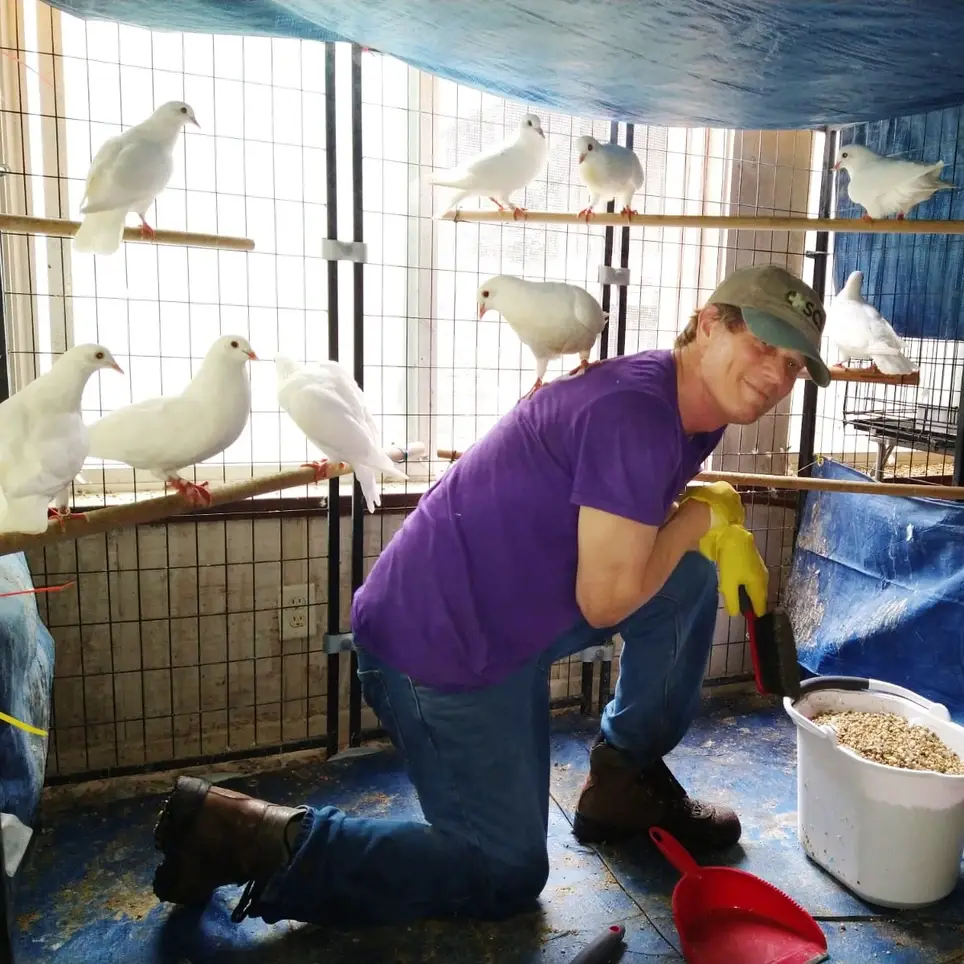 Bird Care/Aviary Cleanup Volunteer