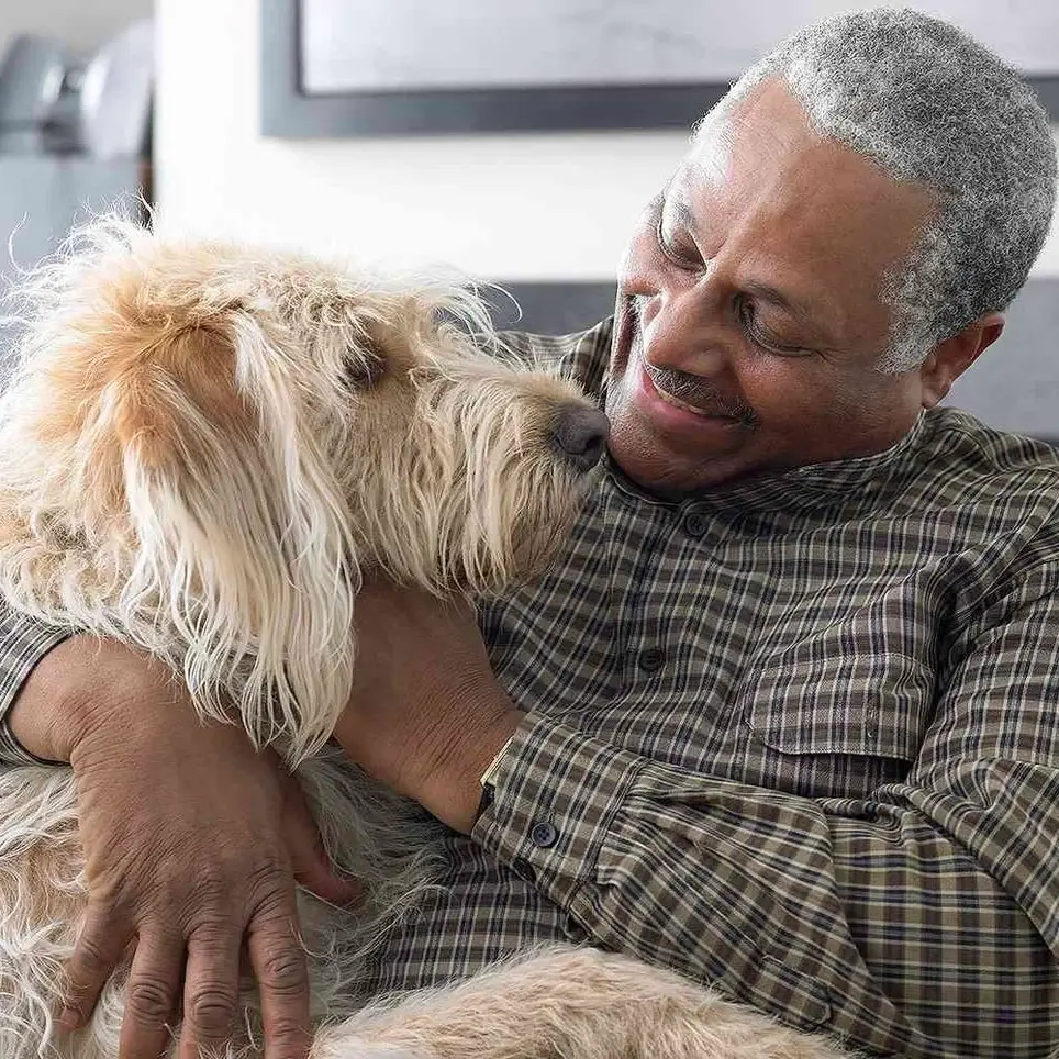 Volunteer Handlers with Certified Therapy Pets - Philadelphia