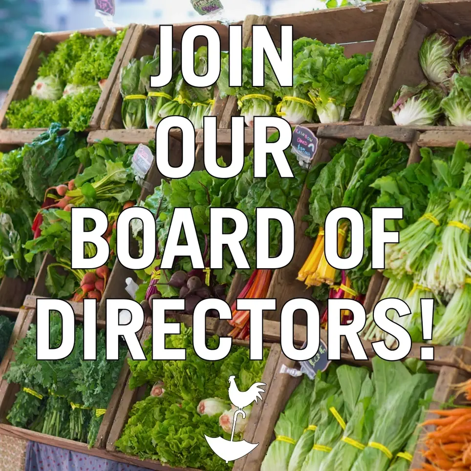 Board of Directors Member