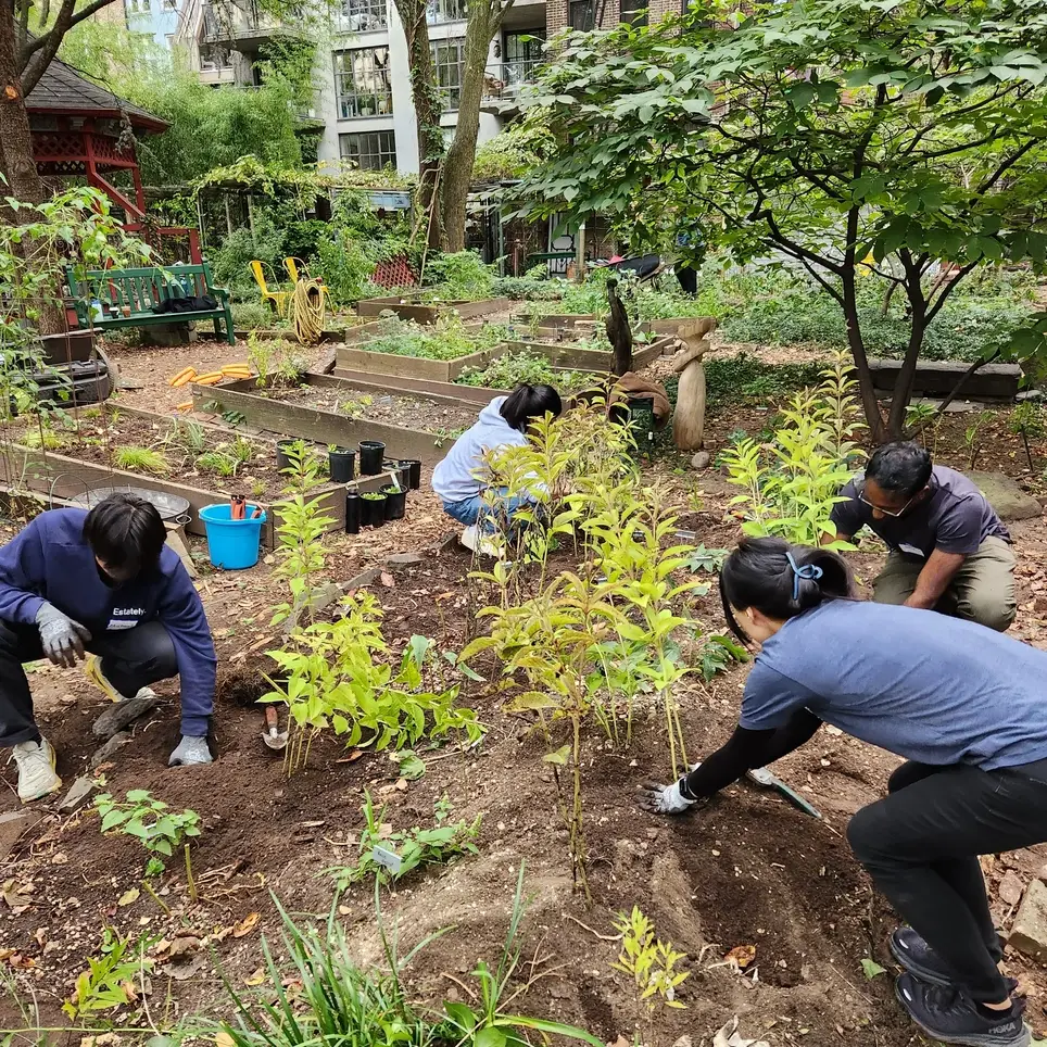 Community Garden Volunteer Cleanup Day