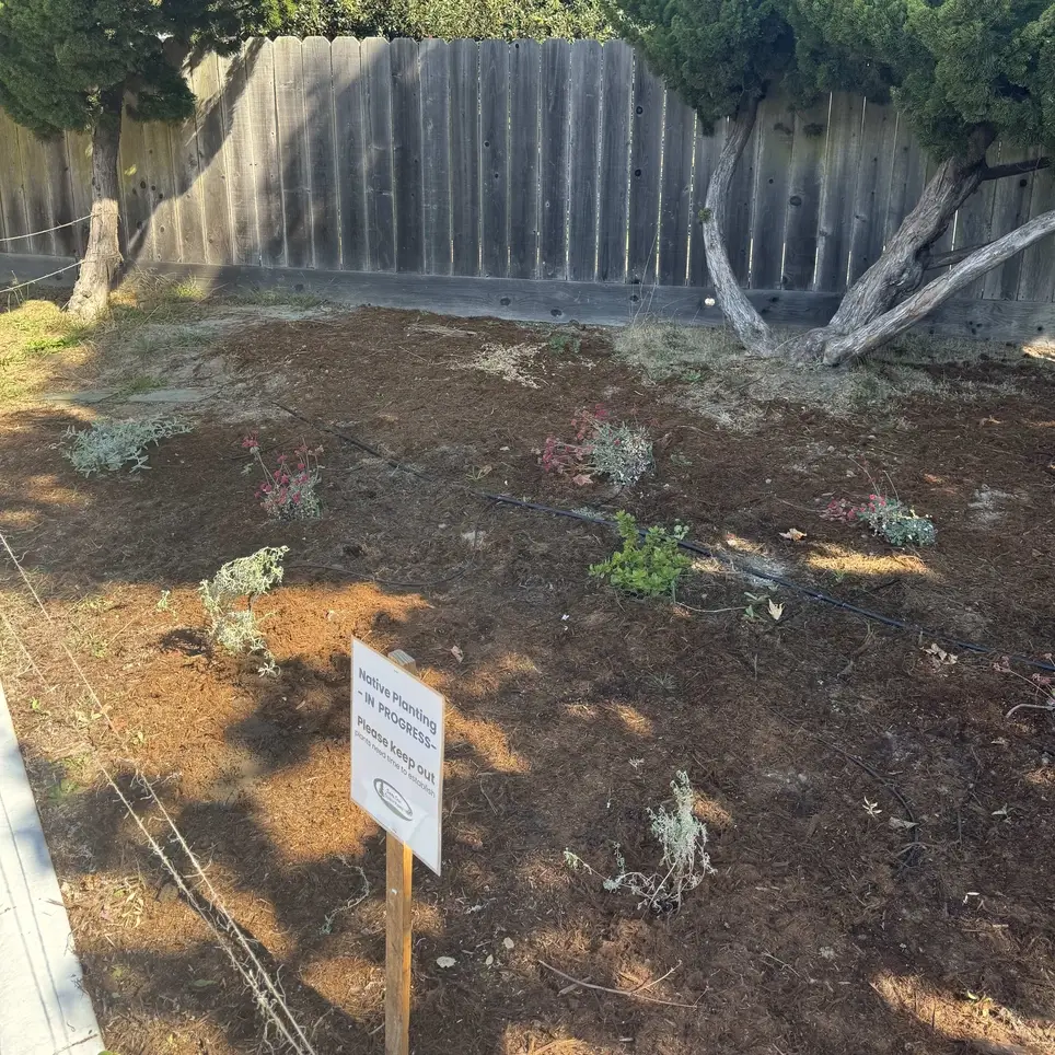 Floral County Park Volunteer Day