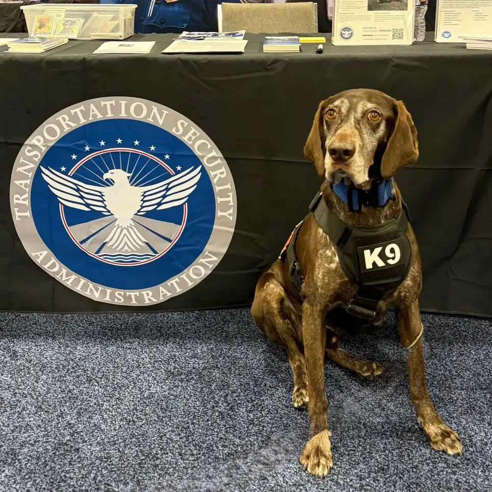 Volunteer to Assist IAD TSA Canine Program Weekly Opportunities