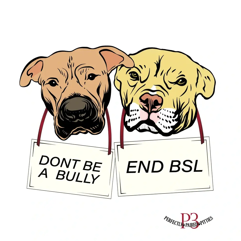 Social Media Team Lead