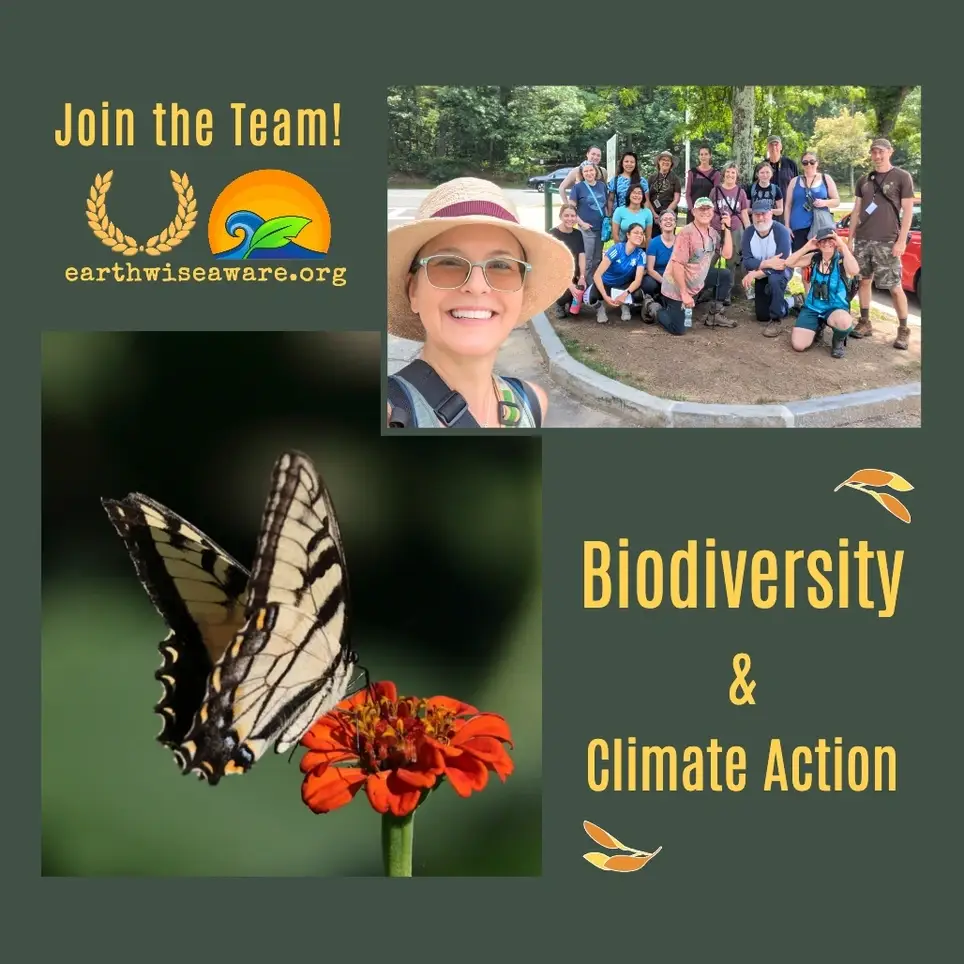 Fells (Winchester) Biodiversity & Climate Citizen Scientist