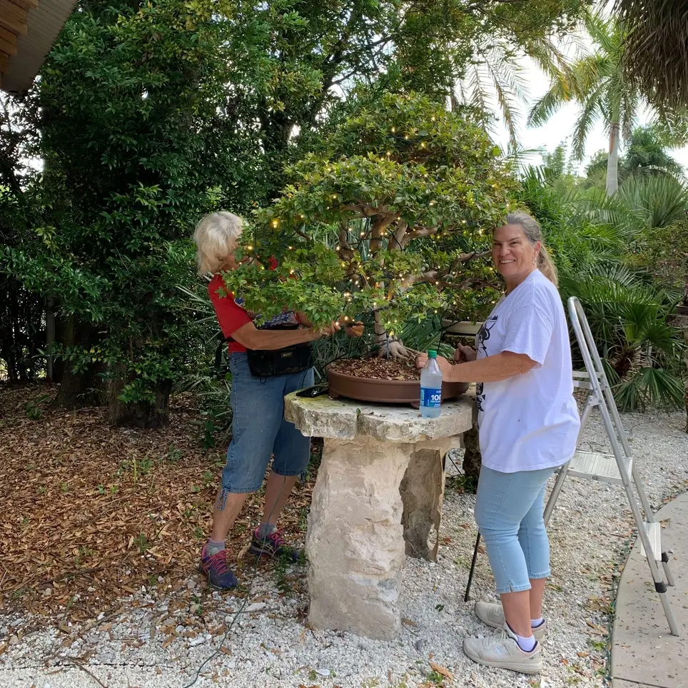 Let's Talk Some Dirt - Garden Assistant