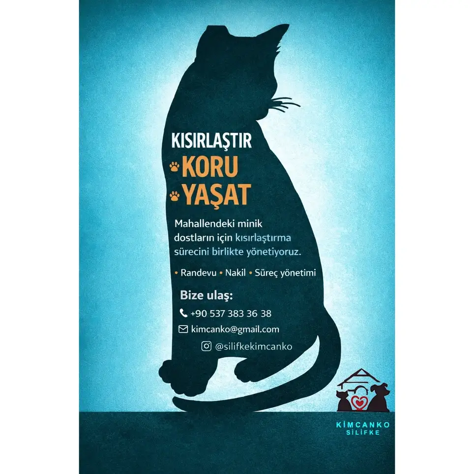 Volunteer Opportunity: Graphic Designer & / or Social Media Specialist (Remote)