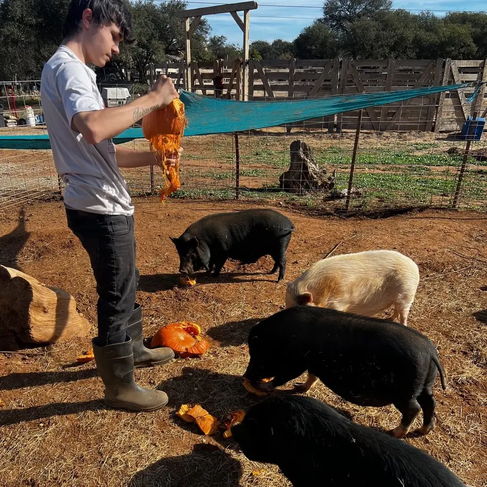 Animal Care Volunteer