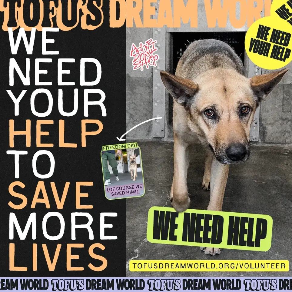 VOLUNTEERS NEEDED TO SAVE MORE LIVES! (all positions!) 🖤🐾