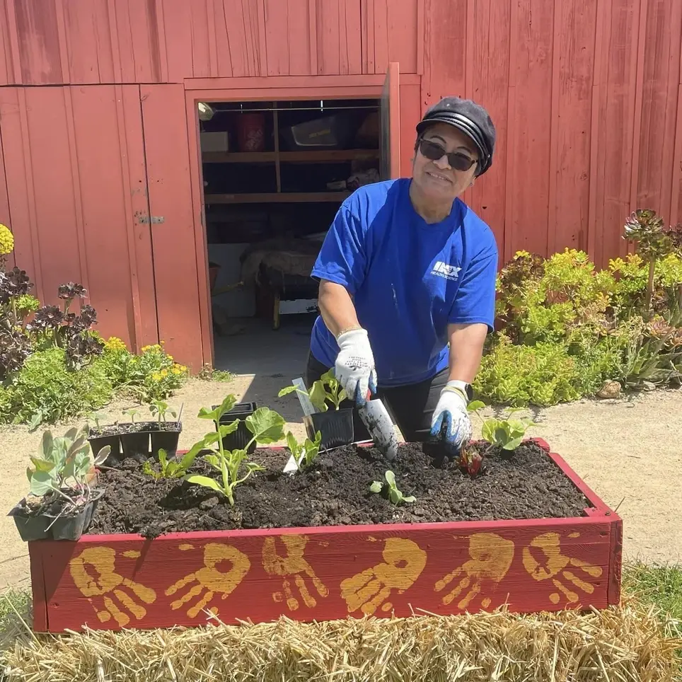 Community Gardens Internship