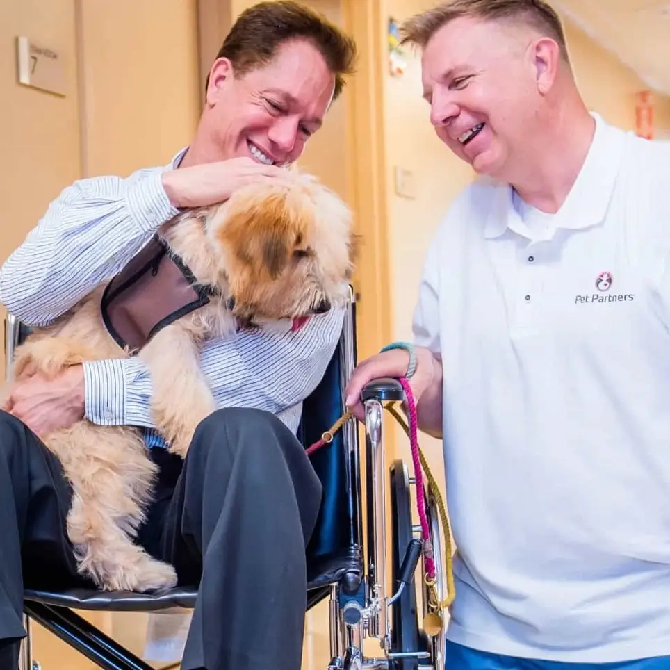 Therapy Dogs Needed to Comfort Hospice Patients