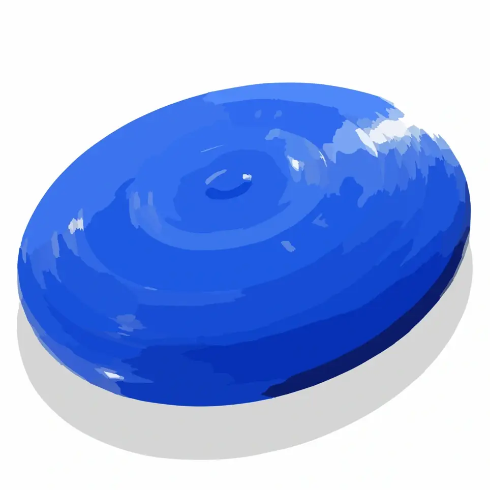 Frisbee Skills Recreation Activities Volunteer June 1st – 5th
