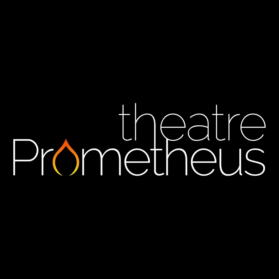 Finance Director for Theatre Company