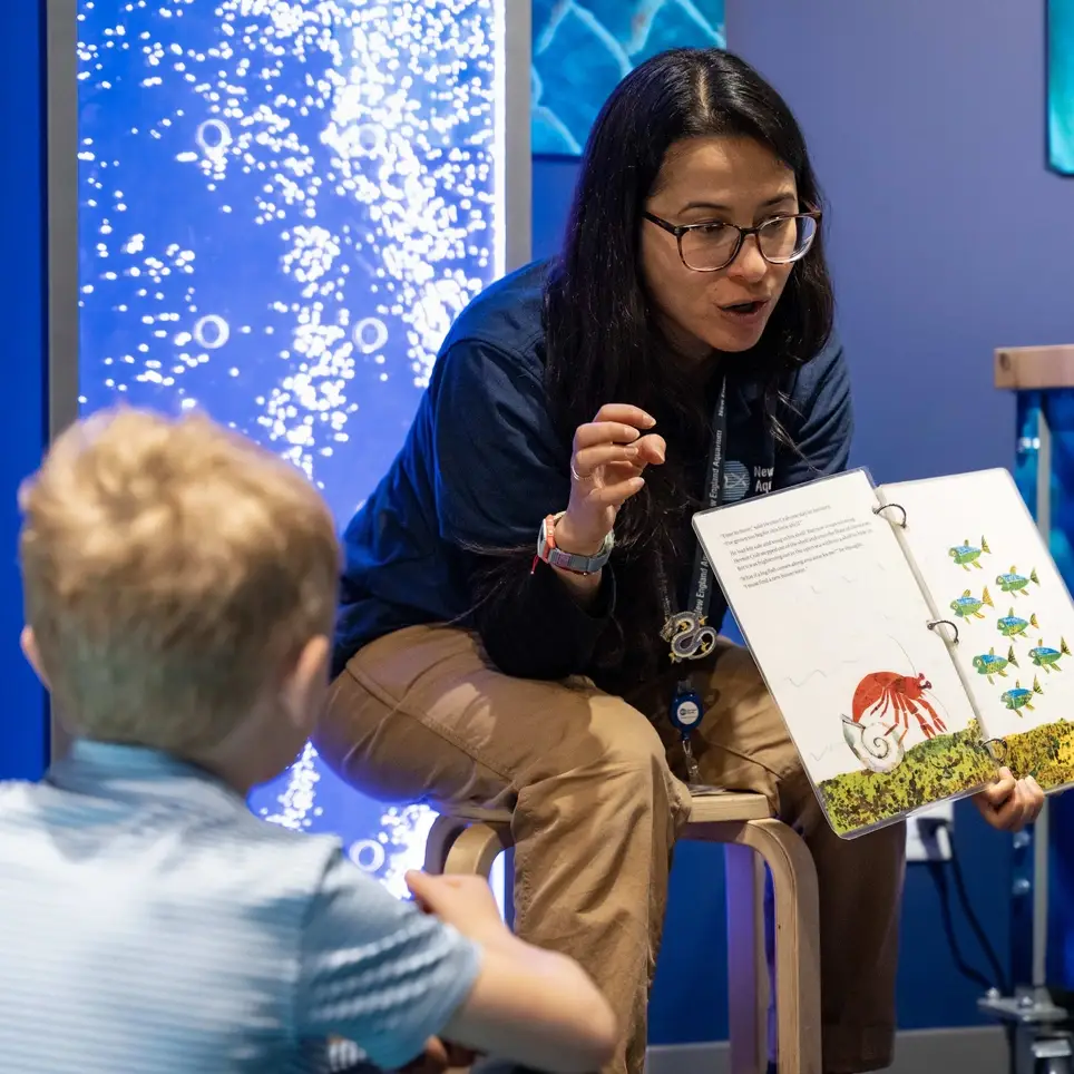 The New England Aquarium: Exploration Station Volunteer