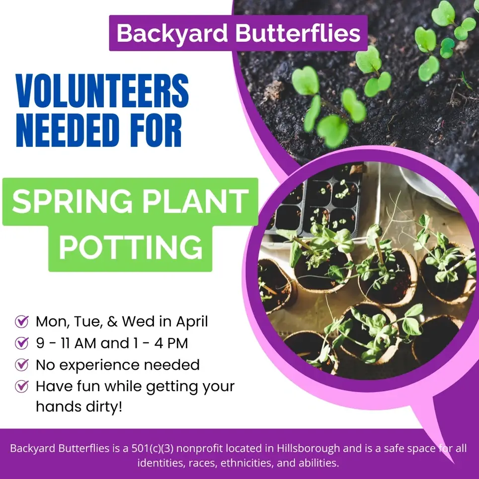 Spring Planting of Seedlings