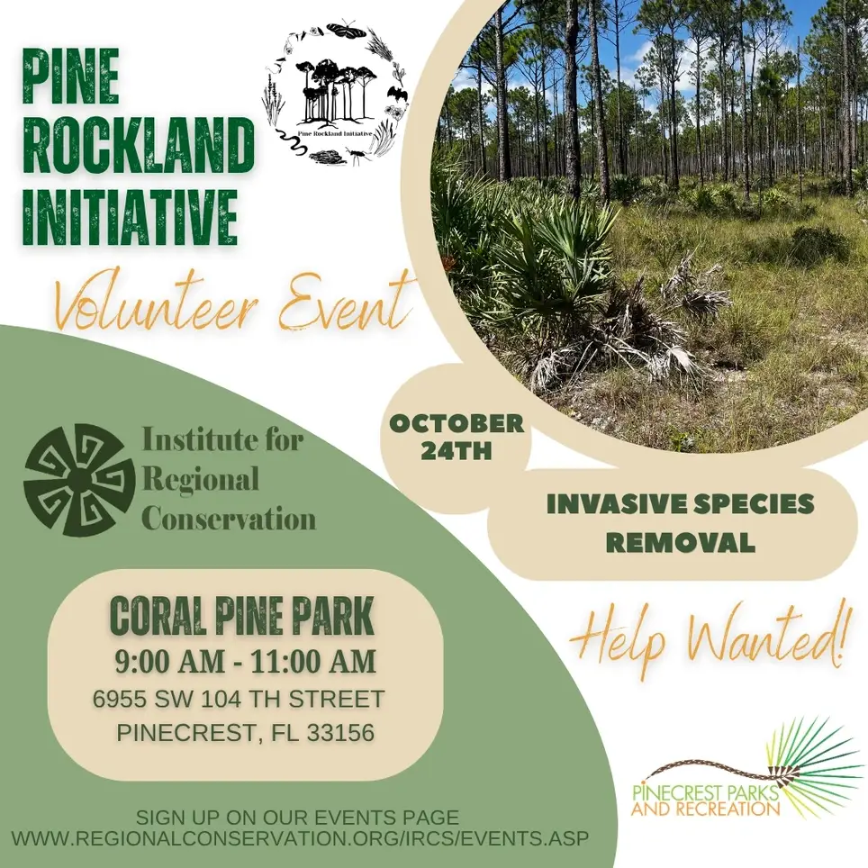 10/24 Restoration Volunteer Day at Coral Pine Park in Pinecrest, Miami Fl