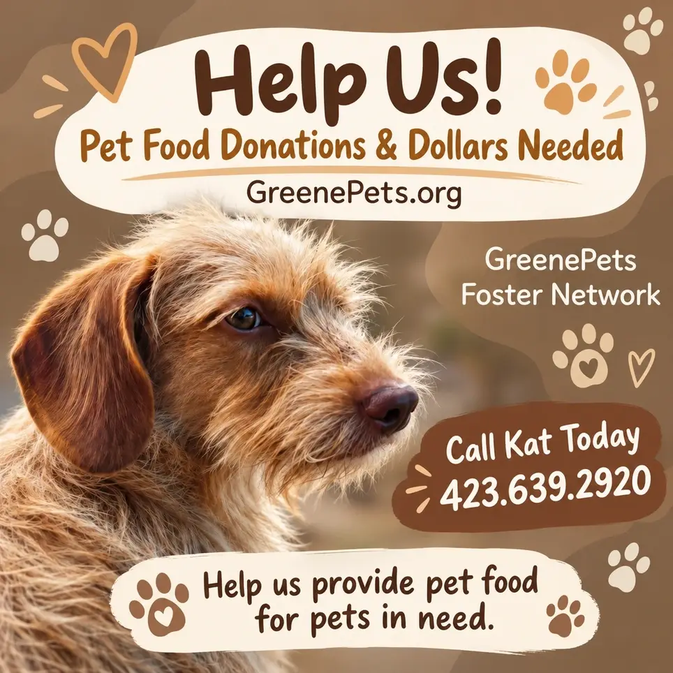 Pet Food Disbursement Persons