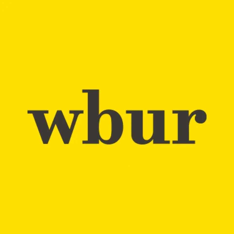 WBUR Festival volunteer opportunities